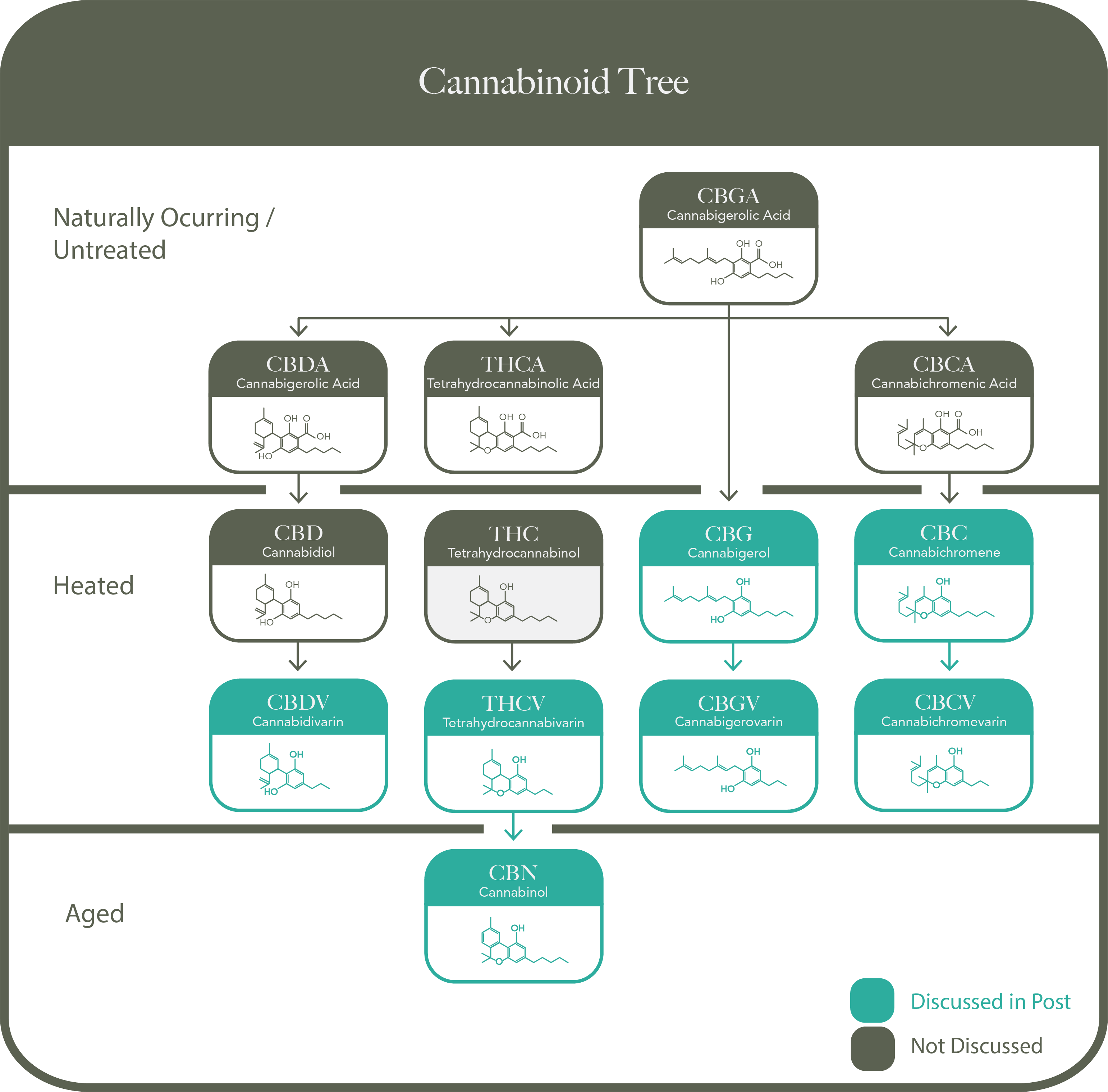 Cannabinoid Family tree Cannabinoid Family Tree