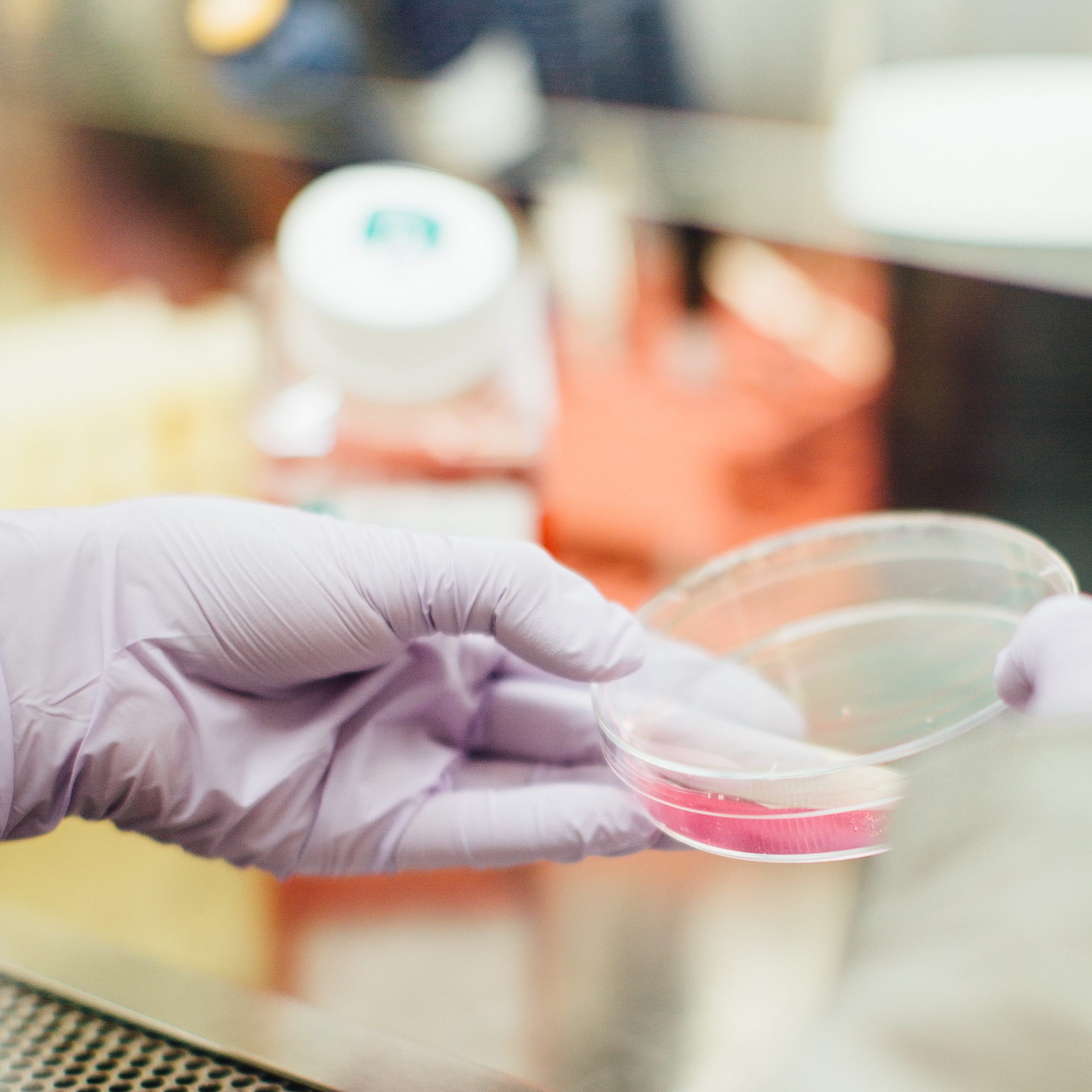CBD Research CBD Research
